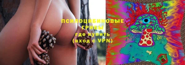 прущий лед Абаза