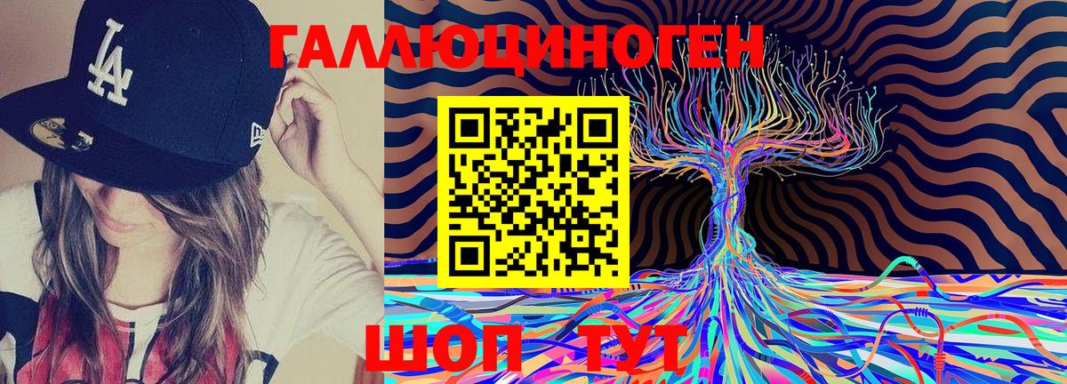 Галлюциногенные грибы Psilocybine cubensis Рязань